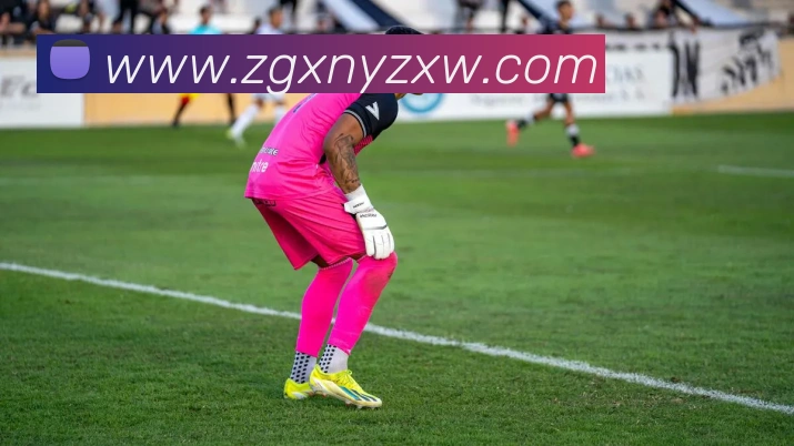 九游官方登录入口平台生态图