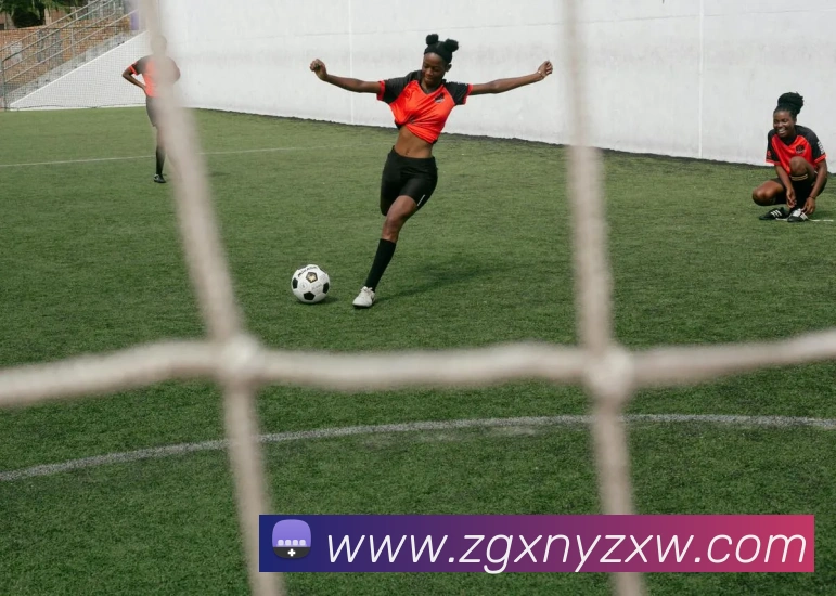 九游官方登录入口全站App